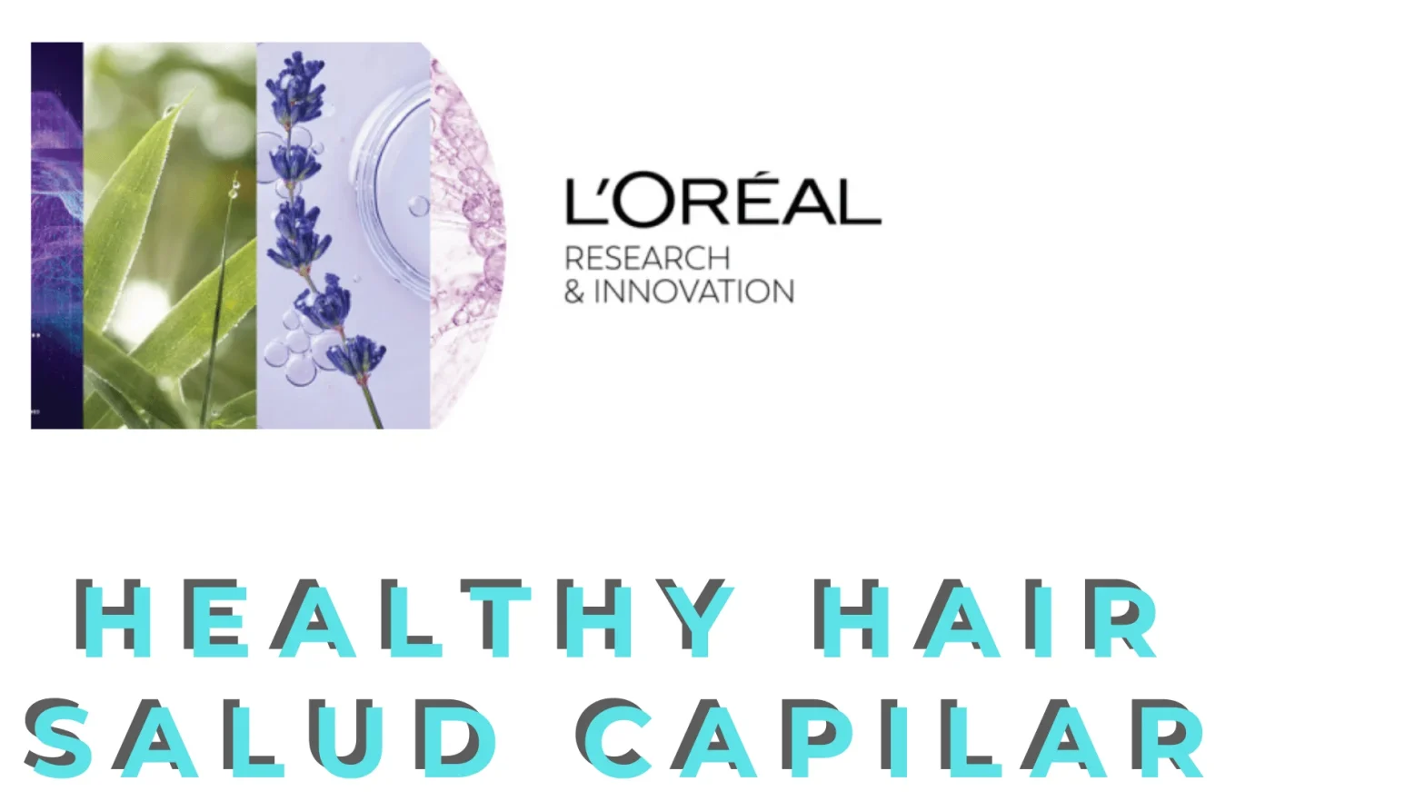 Un viaje fantástico por nuestro cabello